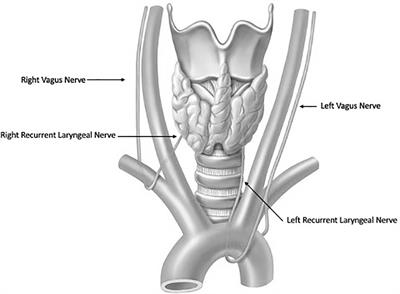 Intraoperative Neuromonitoring: Evaluating the Role of Continuous IONM and IONM Techniques for Emerging Surgical and Percutaneous Procedures